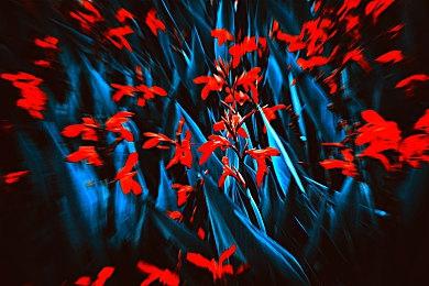 传EA重制《极品飞车9：最高通缉》 2024年发售